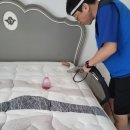 CU세종새마을점 | 🌿 세종시 반곡동 매트리스청소 후기, "커다란 커피자국이 싹 사라졌네요"