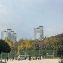 서울계남초등학교 이미지