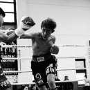 WS복싱클럽 이미지