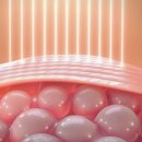 서울밸런스의원 이미지