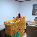 천동초등학교 | 이사 앞둔 찐친에게 영업 각?! 대전이사 성공은 여기요!