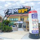 고등어회결사 이미지