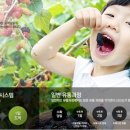 생생완도참전복