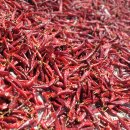 여주-1131 이미지