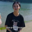 야호
