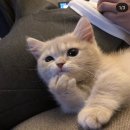 이가뚝배기밥상 이미지