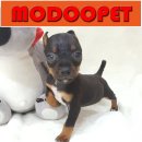 모두와샵 이미지