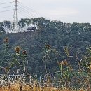 본 행정사 사무소 이미지