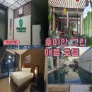 HOTEL애플 | 다낭 호이안 올드타운 근처 가성비 좋은 호이안 그린 애플 호텔(Hoi An Green Apple Hotel) 숙박후기