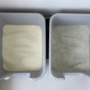 그린카사 | 고양이 카사바 모래: 로마샌드 카사로마 마이크로(가는입자) 사용 후기