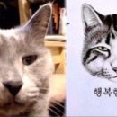 무코 이미지