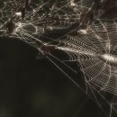 그린헬스 이미지