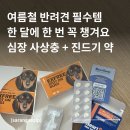 하트온동물병원 | 여름 필수 강아지 심장 사상충 진드기약 조합 | 매달 먹이는 하트 세이버 | 엑스프리 스팟온더독스 후기