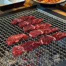 조은 꼬기 이미지