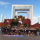 블랙벨트센터 기업 태권도장 이미지