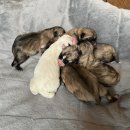 뽕구2