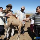 이상기목장 이미지