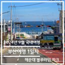 포토웨이브 청사포점 | 국내 여행-24년 9월 서키와 첫 부산 여행 1일차