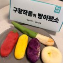쉽게 배우는 베이커리 B반 | 배달의 민족 배민 B마트 '정남미명과' 강릉 빵지순례 구황작물빵