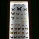 나비공원1(자연교육센터) 이미지
