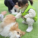 꿈이크는어린이집 이미지