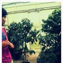 희정농장 이미지