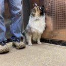 똑독트레이닝스쿨 이미지