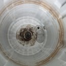 장유세탁 이미지