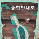 아이와 등산 준비물 백봉산 신설등산로 정상 오르기 코스