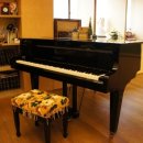 바다소리피아노학원 이미지