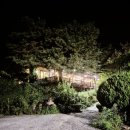 아숲갈비 호포본점 이미지