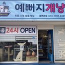 예뻐지개냥 이미지