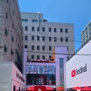 메가그릿 | 유튜브 팬페스트 코리아 2026 성수동 팝업스토어 현장 후기