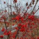 삼성GOOD주유소 이미지