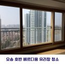 우리들 동물약품 | 오송 호반 베르디움 유리창 청소 후기｜반려동물 가정 필수 이유