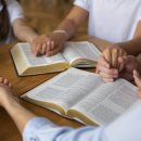 예실목장 이미지