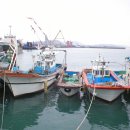 해남화원낚시터 이미지