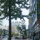 센텀해인요양병원 네이버블로그
