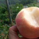 재규농장 이미지