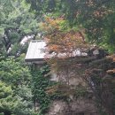 아트하우스 모모(이대 캠퍼스) 이미지