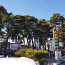 초당태권도장 이미지