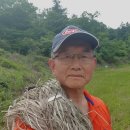 두란농장 이미지