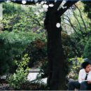 서울고등학교 이미지