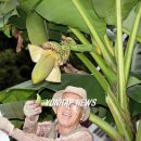 감산2리 이미지