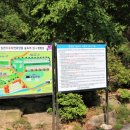 심천치유자연휴양림 이미지