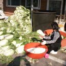 보경사고향식당 Daum카페
