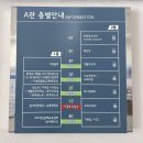 시청사 별관
(교통행정과) | 영등포 자동차 번호판 교체 후기 (무료 교체 가능 조건 &amp; 비용 정보)