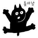코지먼트 이미지