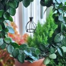 사랑지기 이미지