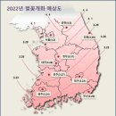 2022 벚꽃 개화시기 이미지